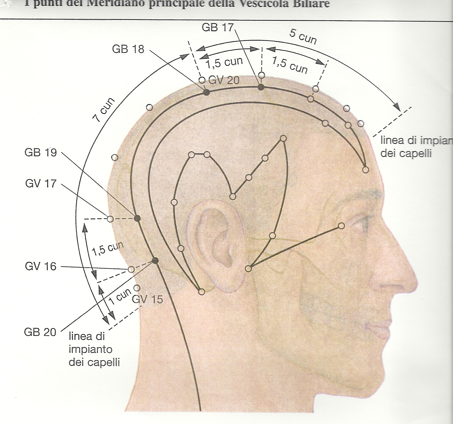 Il Sistema Energetico Pranoterapia Scabini Como