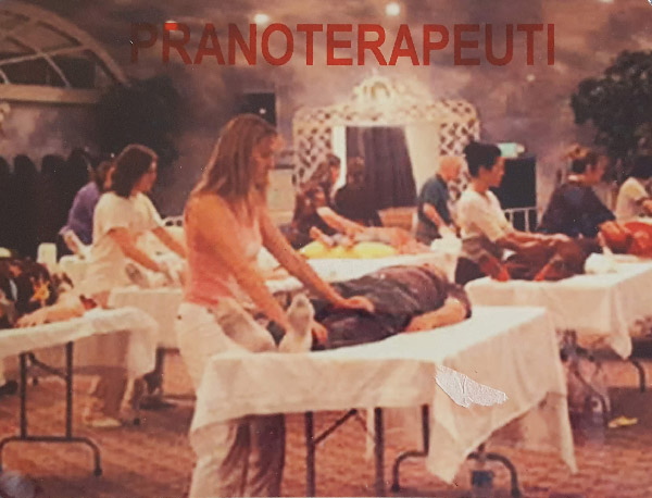 Centro di pranoterapia school of healing di Brbara Ann Brennan (sede di Long Island, New York). Fondata nel 1982, in questo istituto, si tengono corsi (di durata quinquennale) incentrati sullo studio del campo energetico umano, sulla psico-dinamica e sull'approfondimento dello sviluppo della percezione sensoriale superiore